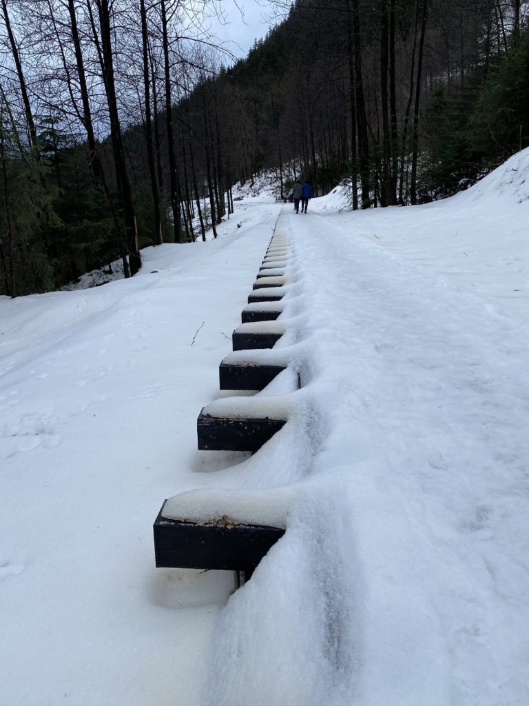 Snowy path through forest with distant figure.